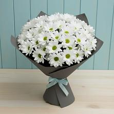 Букет цветов из:  Хризантемы в Пролетарий