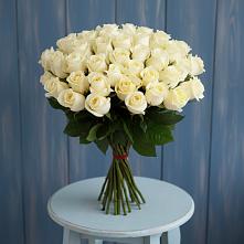 Букет 51 Белая роза Эдлесс Лав #REPLACE_PRED# Пролетарий