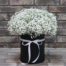 Цветочная композиция из Гипсофила в шляпной коробке в Пролетарий